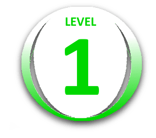 Level 1