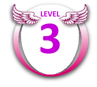 Level 3