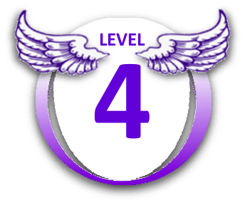 Level 4