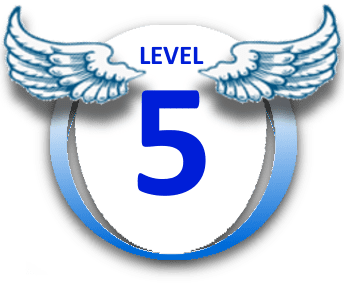 Level 5