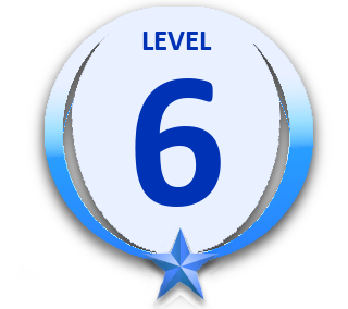 Level 6