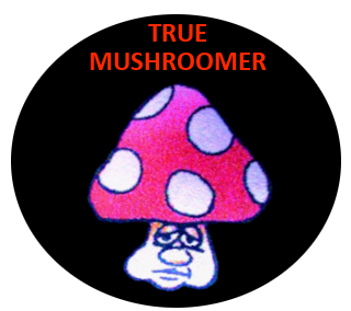 Level MUSHROOMER