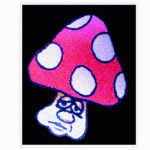 The Big 2026 Mushroom Upgrade: Coming Soon