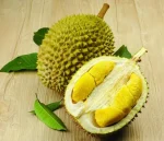 A Durian Adventure: Exploring the King of Fruits