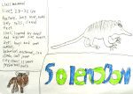 Solenodon