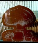 Another Mushroom 🍄